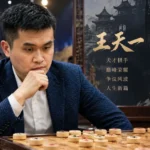 WangTianyi