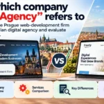Web developers and digital marketers representing two different Freely Agency businesses